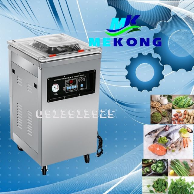 Máy hút chân không DZQ400