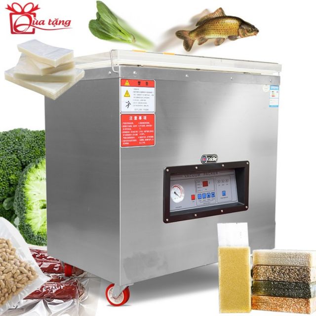 Máy hút chân không DZQ 650